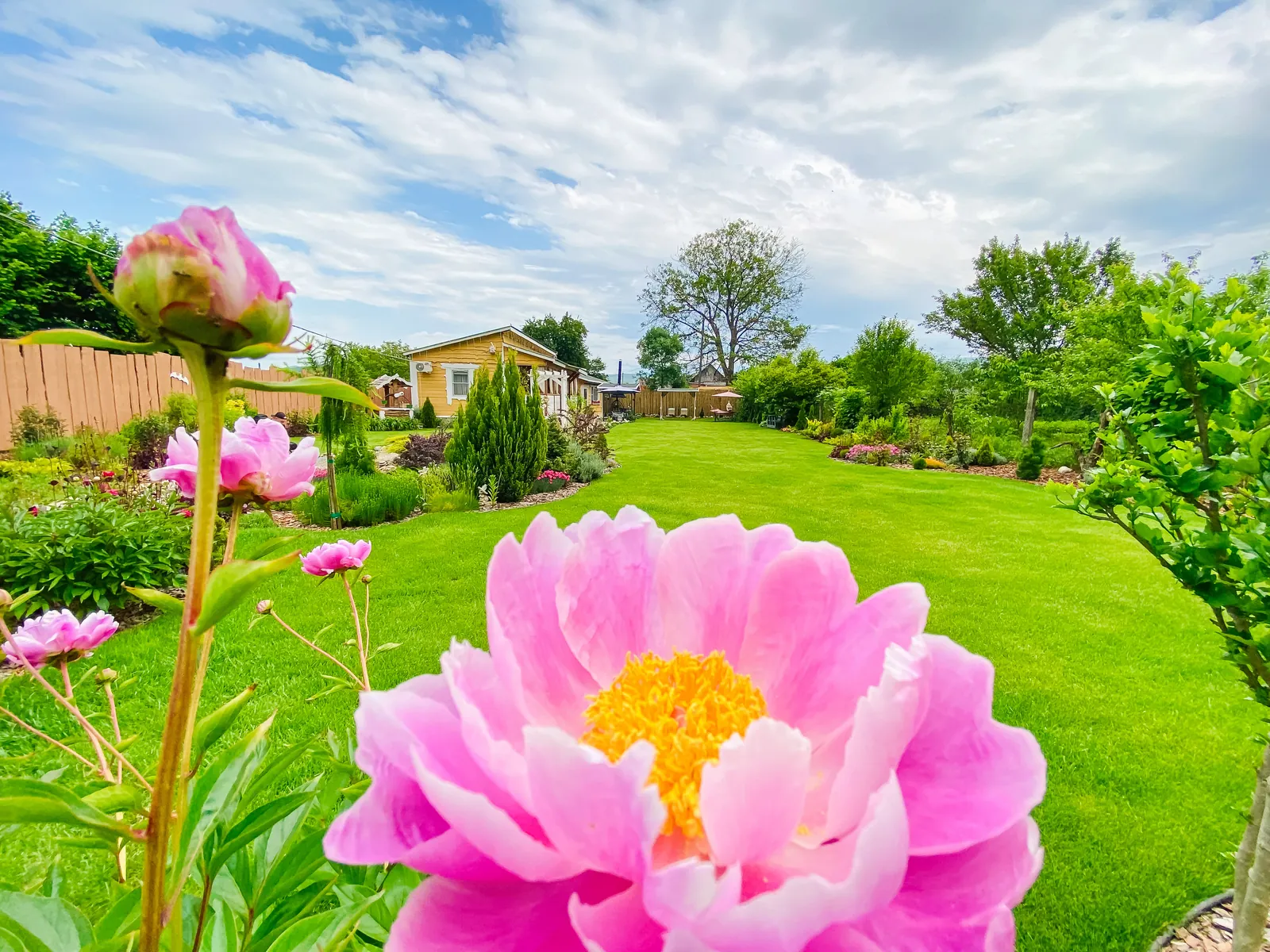 Территория